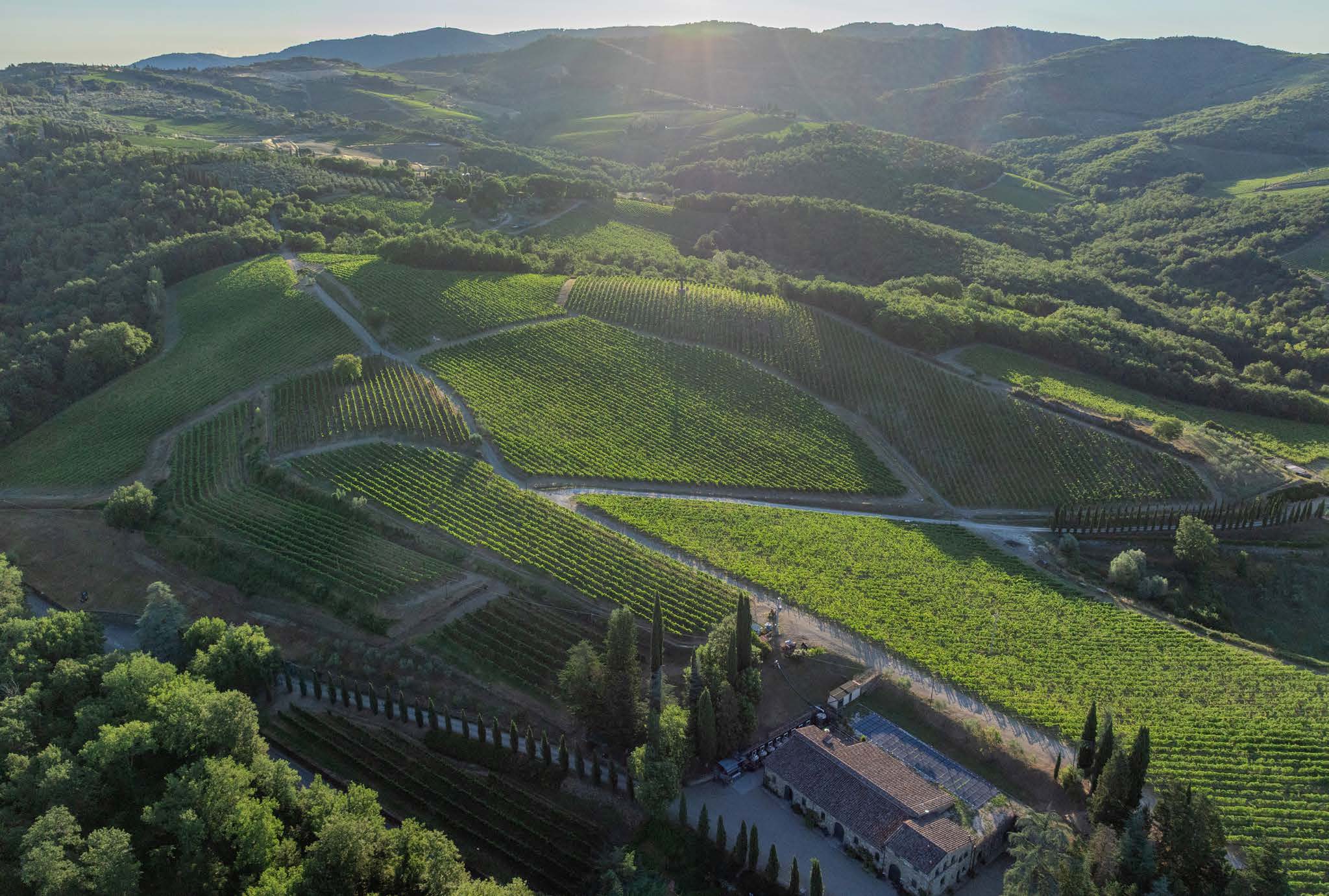 Aerial of the Grace Estate vineyards and rolling Chianti hills